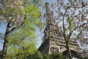 Paris skyline